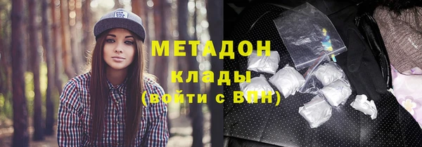 прущие грибы Беломорск