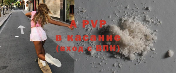 прущие грибы Беломорск