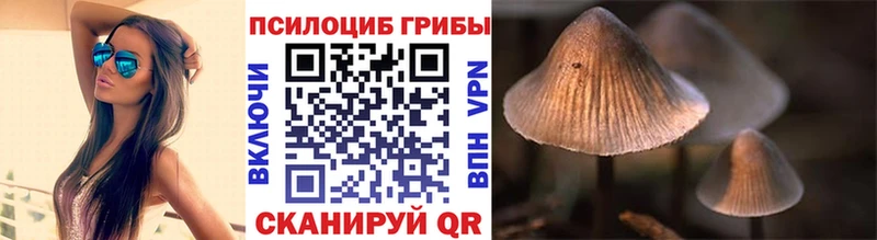Псилоцибиновые грибы мицелий  даркнет сайт  Сланцы 